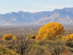 Vista parcial del desierto de Arizona