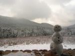 Muñeco de nieve en un bonito lugar