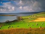 Verdes prados junto al mar