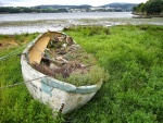 Barca con basura y hierbas
