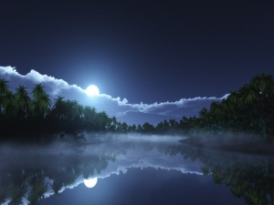 Postal: Luna en la noche tropical