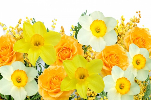 Bellas flores color amarillo