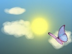 Mariposa volando hacia el sol