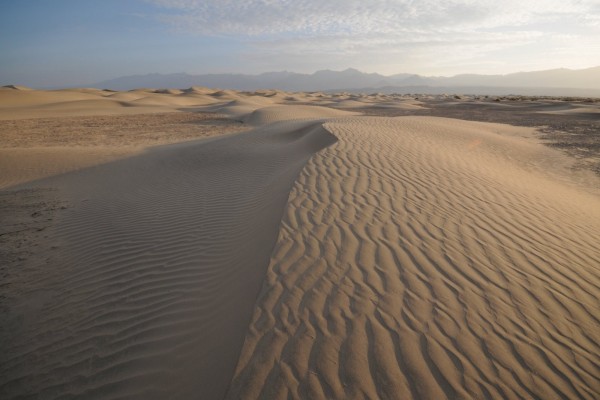 En las arenas del desierto