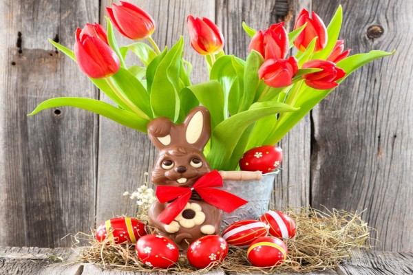 Conejo de chocolate y huevos para Pascua