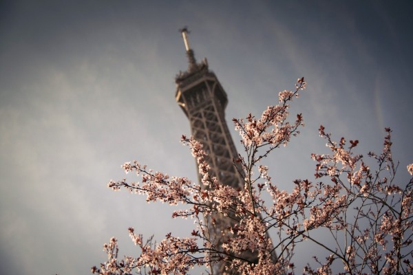 Vista superior de: La Torre Eiffel (París, Francia)