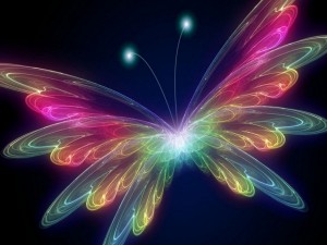 Postal: Mariposa con alas de varios colores