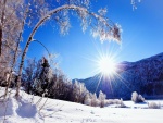 Brillante sol de invierno