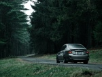 Un coche, en la carretera del bosque