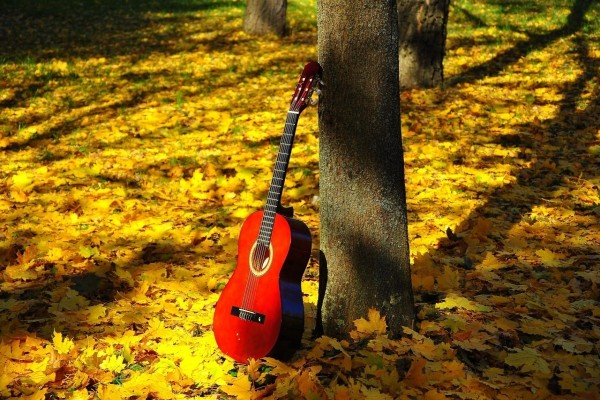 Guitarra apoyada en el árbol