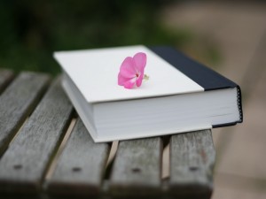 Postal: Flor rosa, sobre un libro