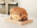 ¿Pan de molde o perro?