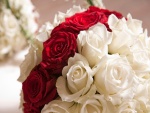 Ramo de rosas blancas y rojas