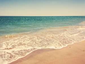 El agua marina y la fina arena