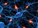 Neuronas comunicándose