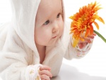 Un bebé observando una gerbera naranja