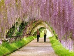 Paseo por el túnel de las flores