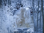 Río y árboles congelados (Suecia)