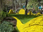 Parque decorado con cuerdas amarillas