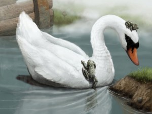 Postal: Ranas sobre un cisne blanco