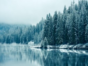 Un lago en invierno