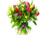 Ramo de tulipanes y hojas verdes