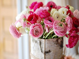 Postal: Flores rosas y blancas en el jarrón