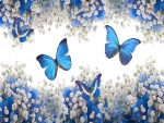 Mariposas entre las flores
