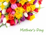 Bellas flores para el Día de la Madre