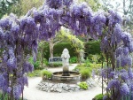 Jardín con una fuente, árboles y flores lilas