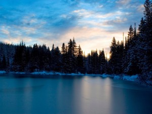 Postal: Fría mañana en el lago