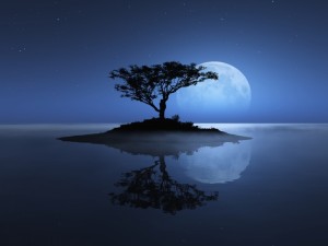 Postal: Reflejo del árbol y la gran luna