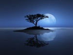 Reflejo del árbol y la gran luna