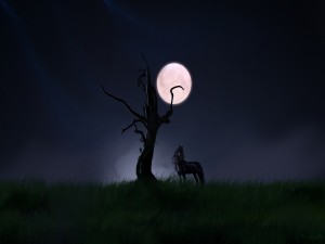 Postal: Un caballo negro y luna llena
