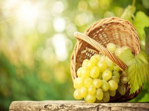Uvas maduras en la cesta