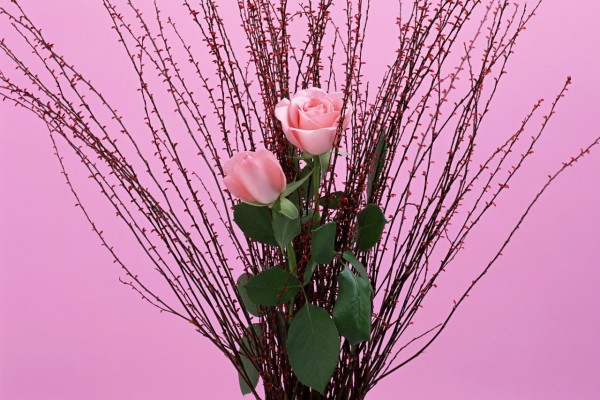 Arreglo floral con rosas de color rosa