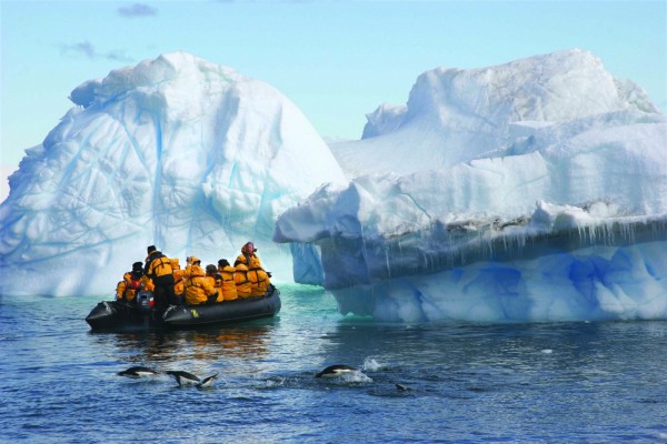 Embarcación junto a grandes icebergs y pingüinos nadando