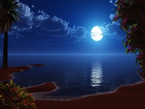 Postal: La luna iluminando la playa