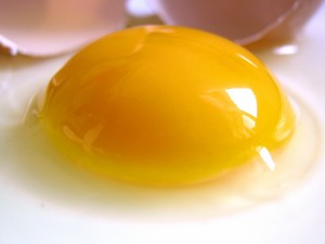 La yema y clara de un huevo