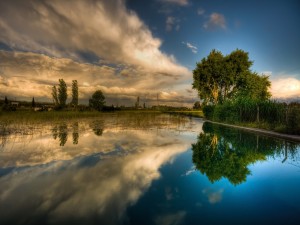 Árboles y cielo reflejados en el lago