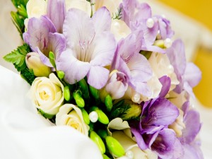 Postal: Bellas flores blancas y lilas