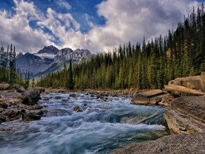 Un río entre pinos y montañas
