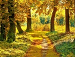 Camino amarillo entre árboles