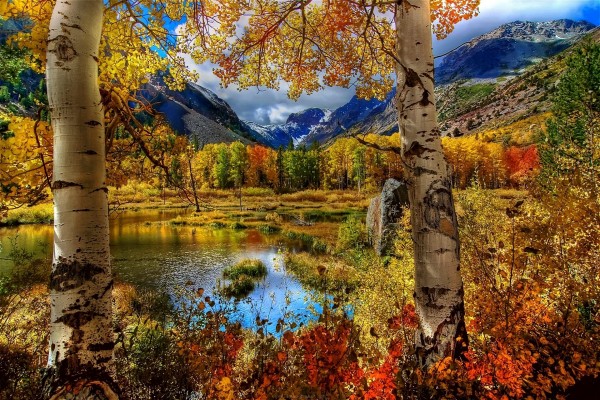 Los colores de la naturaleza en otoño