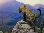 Jaguar en la roca