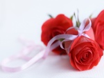 Lazo atado a una rosa roja