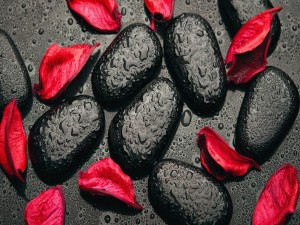 Piedras con gotas y pétalos rojos