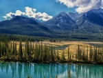 Montañas, árboles y río en Alberta (Canadá)