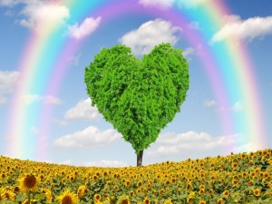Un campo con girasoles, un arco iris y un árbol con forma de corazón