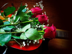 Tres delicadas rosas rojas sobre la guitarra